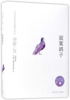 寂寞鸽子