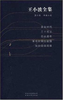 王小波全集（第六卷） : 黄金时代